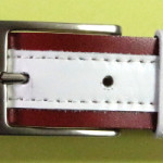 ds187