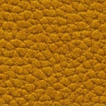 armonia-4729