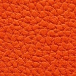 armonia-4741