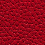 armonia-4746