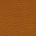 charme-4902