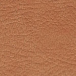 charme-4916