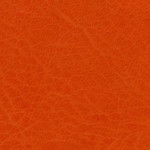 memory-e043