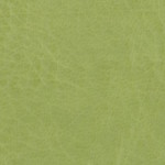 memory-e049