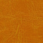nebraska-thermo-9932