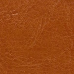 nebraska-thermo-a218