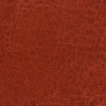 nebraska-thermo-a220