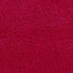 nebraska-thermo-a223