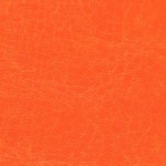 nebraska-thermo-a837