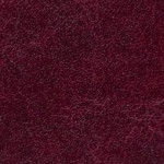 nebraska-thermo-b296