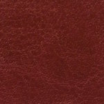nebraska-thermo-b459