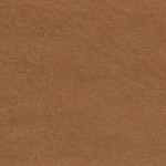 nebraska-thermo-d132-m