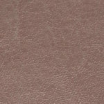 nebraska-thermo-d134-m