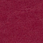 nebraska-thermo-d137-m