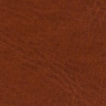 nebraska-thermo-d138-m