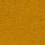 nebraska-thermo-d143