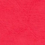 nebraska-thermo-d146