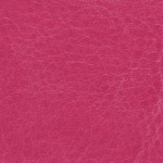 nebraska-thermo-d147