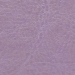 nebraska-thermo-d153
