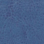 nebraska-thermo-d157
