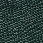 tejus-e209