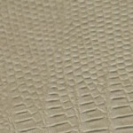 tejus-e633