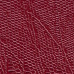tejus-e638