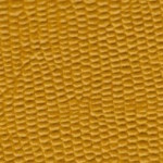 tejus-e639