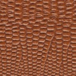 tejus-e641