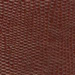 tejus-e642