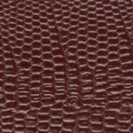 tejus-e644