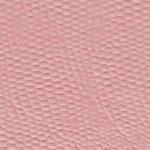 tejus-e646