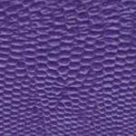 tejus-e648