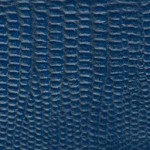 tejus-e651