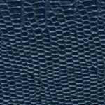 tejus-e652